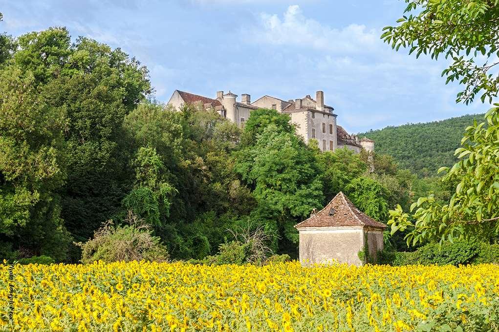 Brit Hotel Cahors - Le France Екстериор снимка